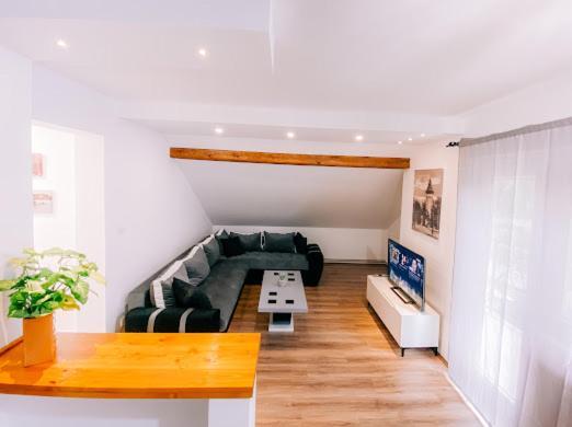Apartman Aleksandar Lux Palics Kültér fotó