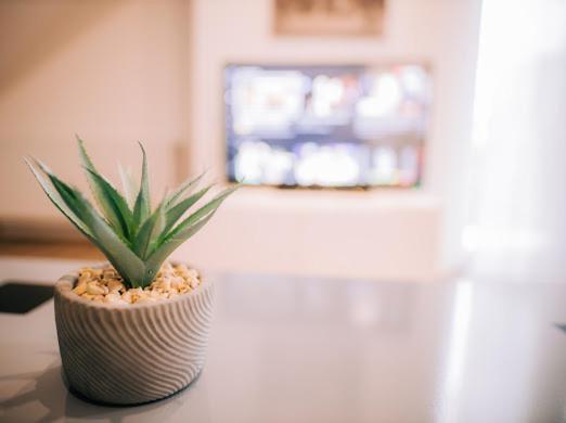 Apartman Aleksandar Lux Palics Kültér fotó