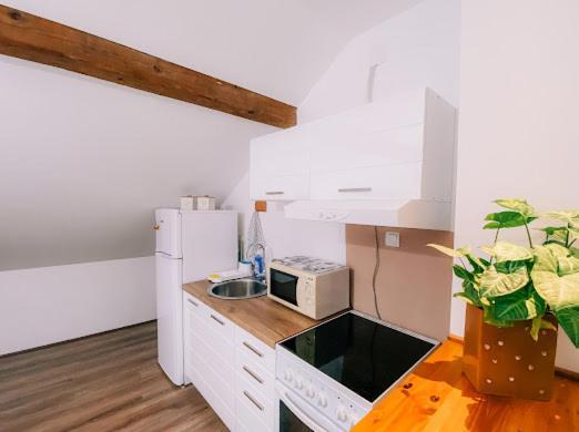 Apartman Aleksandar Lux Palics Kültér fotó