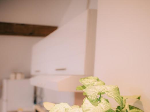 Apartman Aleksandar Lux Palics Kültér fotó